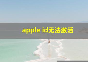 apple id无法激活